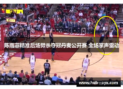陈雨菲精准后场劈杀夺冠丹麦公开赛 全场掌声雷动 陈雨菲精准后场劈杀夺冠丹麦公开赛 全场掌声雷动